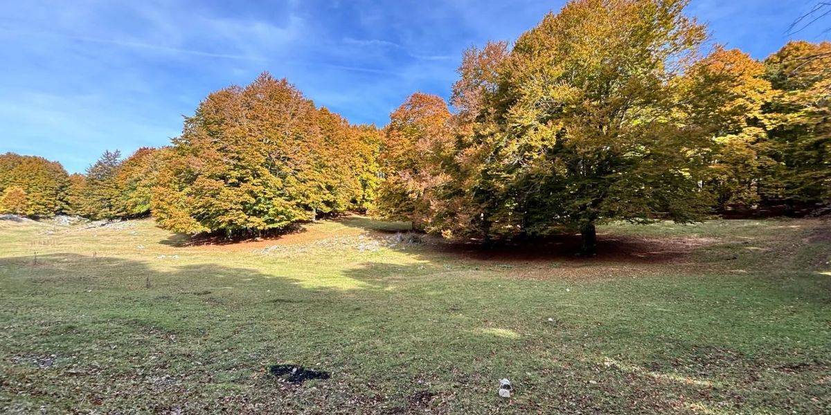 IL RESPIRO DELL’AUTUNNO: TRA COLORI E PROFUMI NEL CUORE DEI SIMBRUINI - Lazio IL RESPIRO DELL’AUTUNNO: TRA COLORI E PROFUMI NEL CUORE DEI SIMBRUINI - Lazio