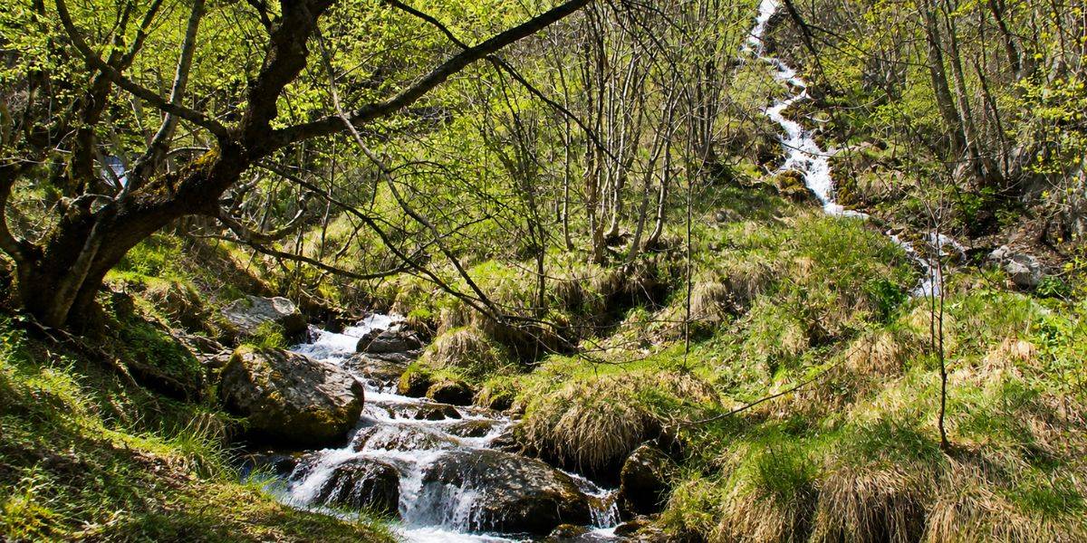 La Riserva di Zompo lo Schioppo | La cascata naturale più alta dell’Appennino - Abruzzo La Riserva di Zompo lo Schioppo | La cascata naturale più alta dell’Appennino - Abruzzo