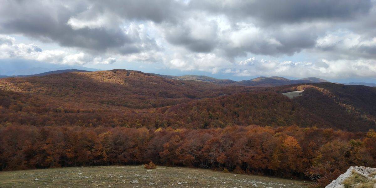 Il Bosco Cambia Pelle – Lo spettacolo del foliage sul Monte Autore - Lazio Il Bosco Cambia Pelle – Lo spettacolo del foliage sul Monte Autore - Lazio