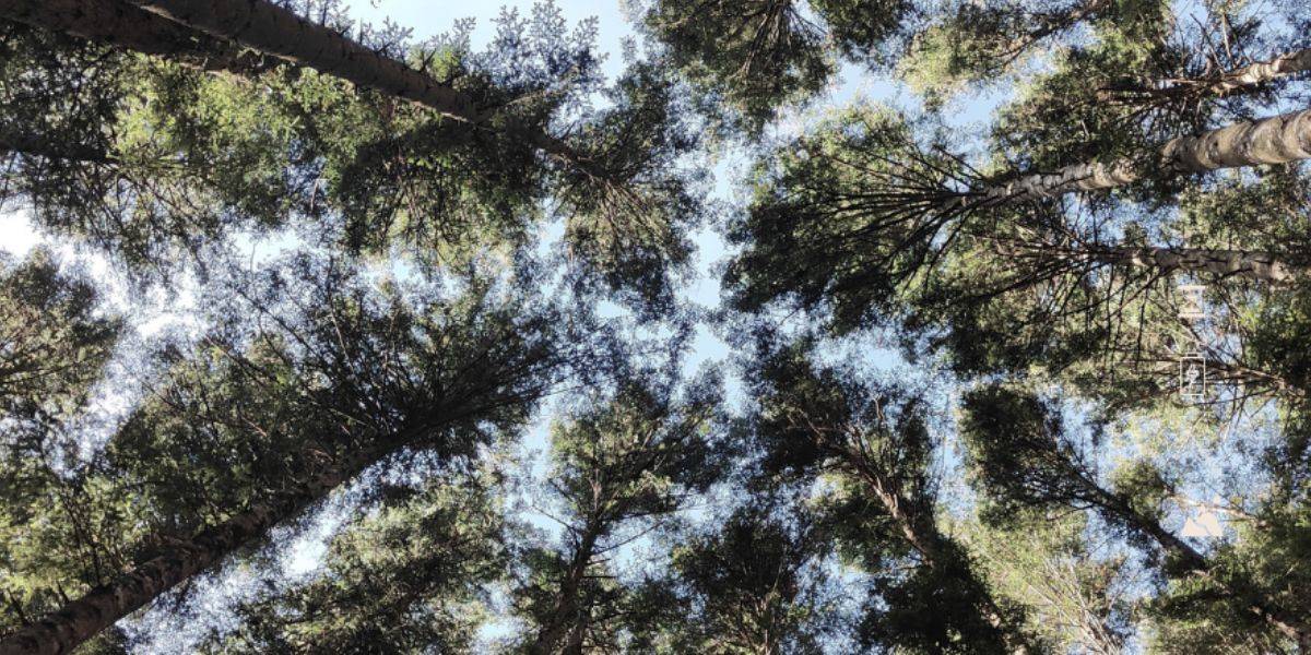 I Segreti della Vallombrosa - Toscana I Segreti della Vallombrosa - Toscana