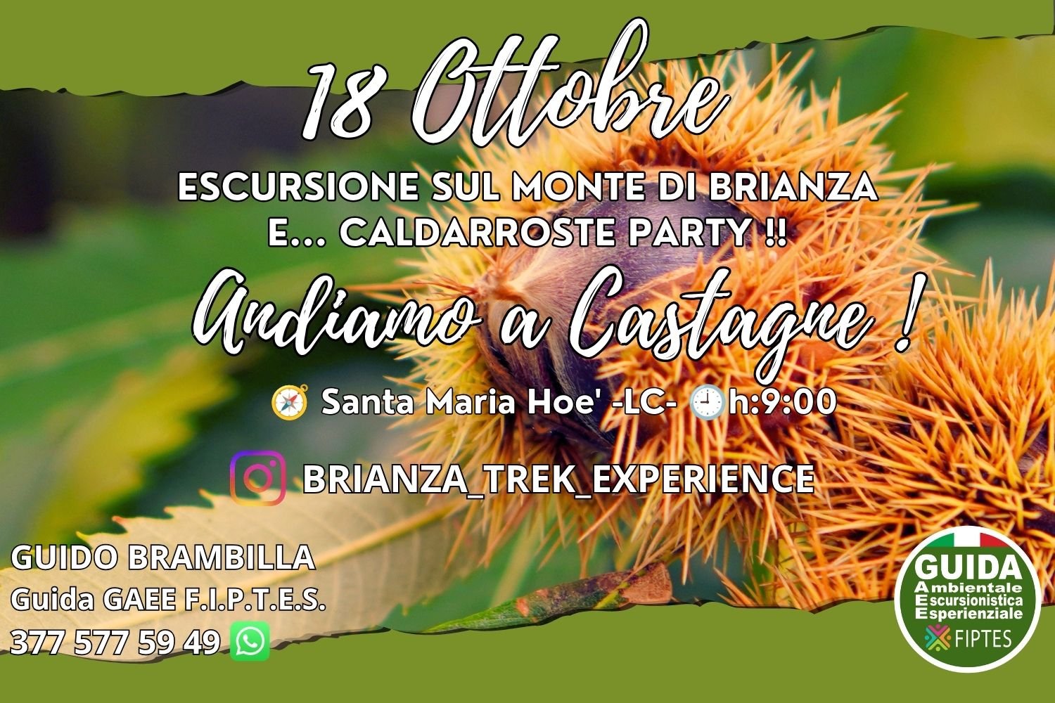 CALDARROSTE PARTY !!! 🌰🌰