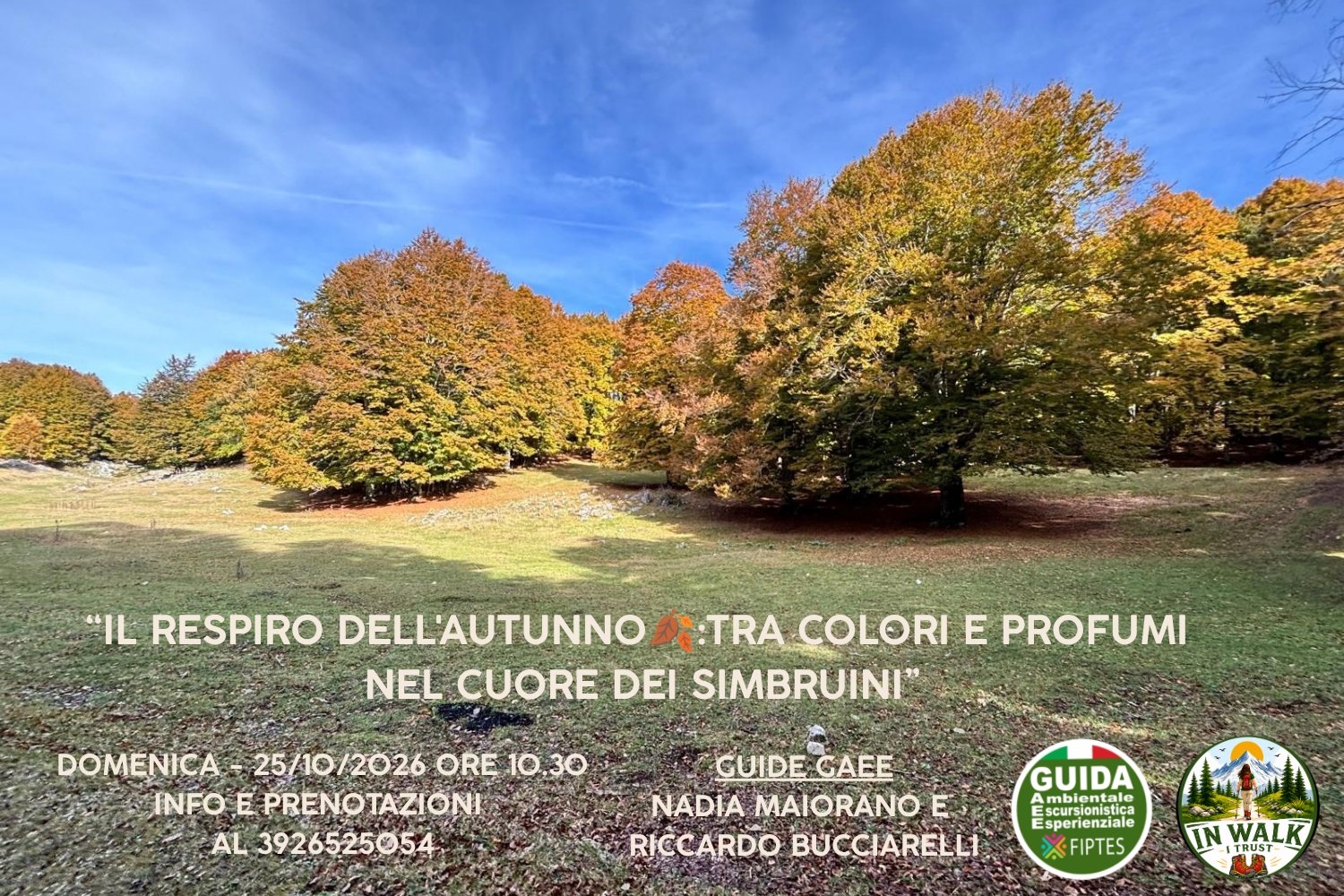 IL RESPIRO DELL’AUTUNNO🍂: TRA COLORI E PROFUMI NEL CUORE DEI SIMBRUINI🌄