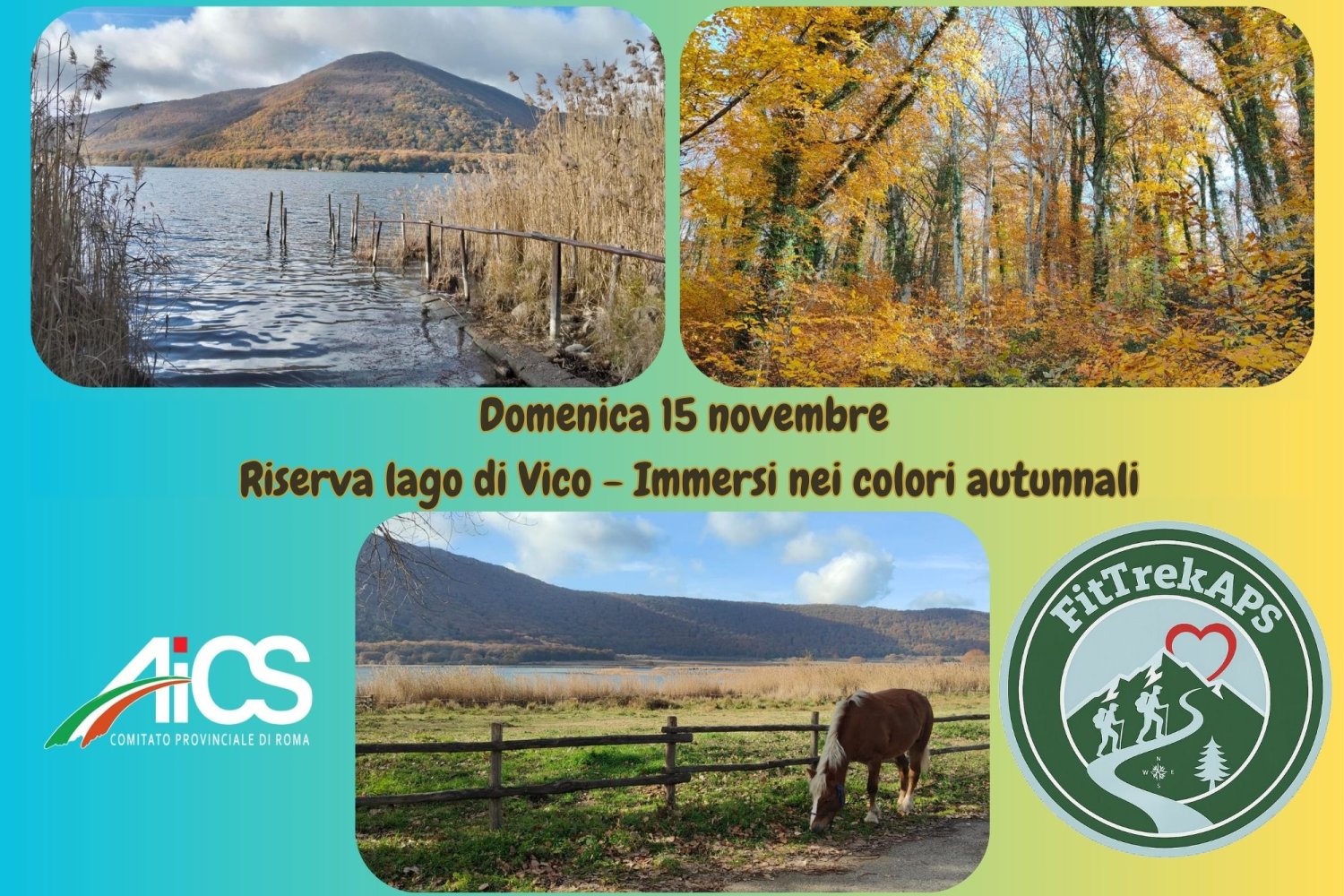 Riserva del Lago di Vico