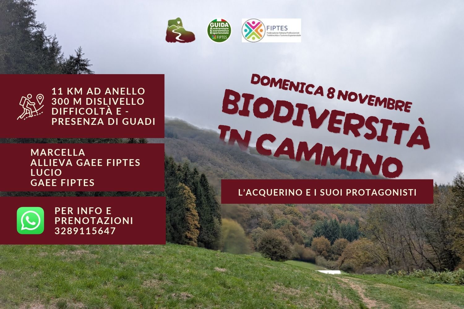Biodiversità in cammino 🍂 L’Acquerino e i suoi protagonisti