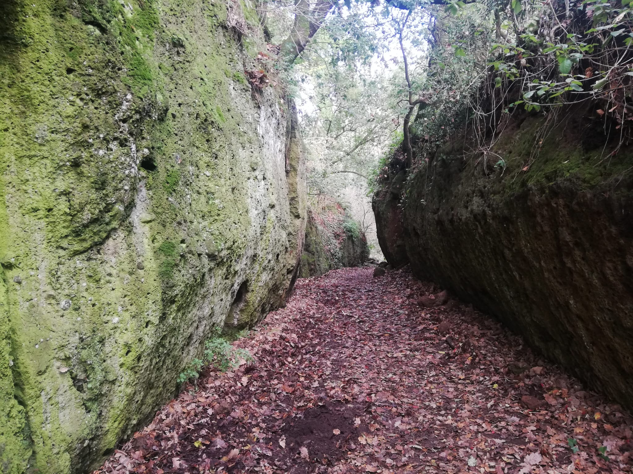 Cammino dei Tre Villaggi 🥾