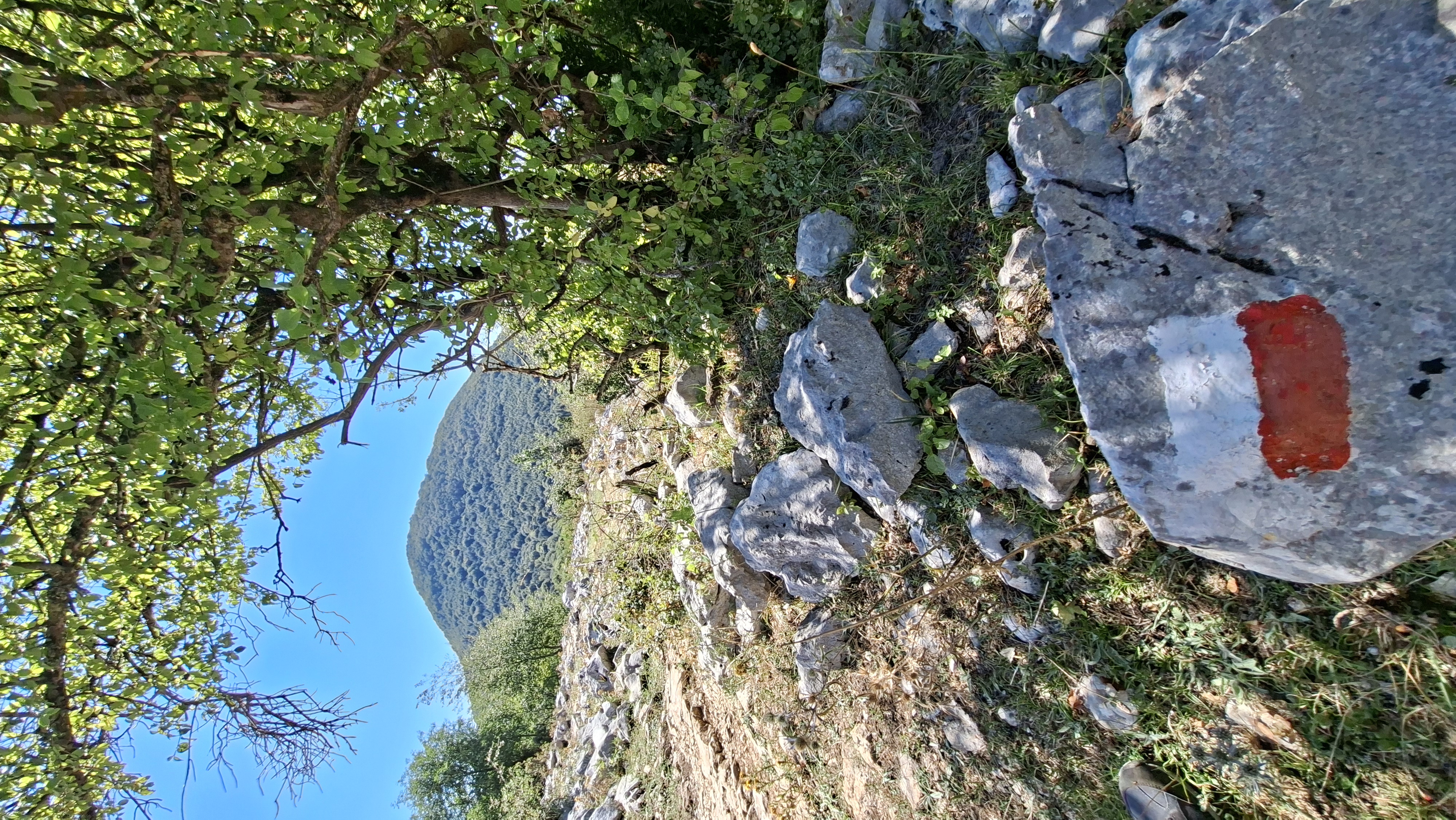 ⛰️ Family Trekking: I Pratoni di Monte Gennaro e il Laboratorio dell’Orologio Solare 🌲