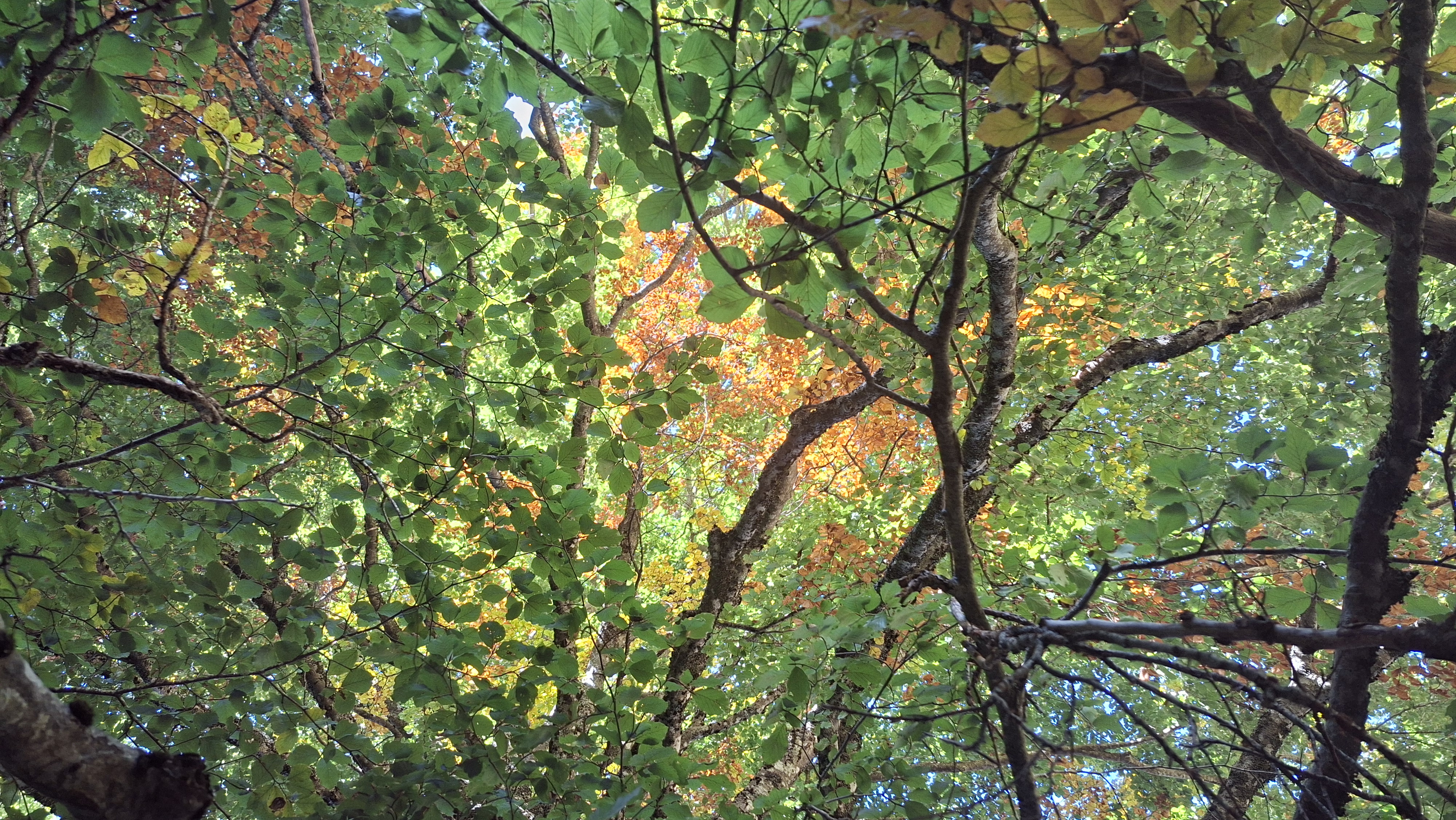 Autunno a Campaegli Trek&Lab