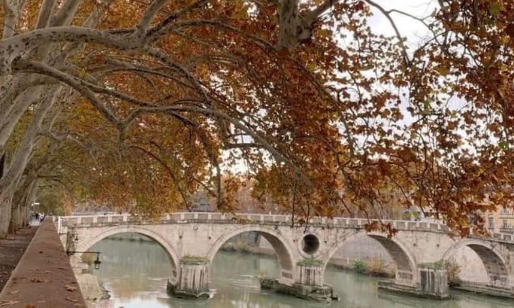 CAMBIO PASSO. 👟 Ottobre a Roma: un trekkincittà da sentire 🍂✨