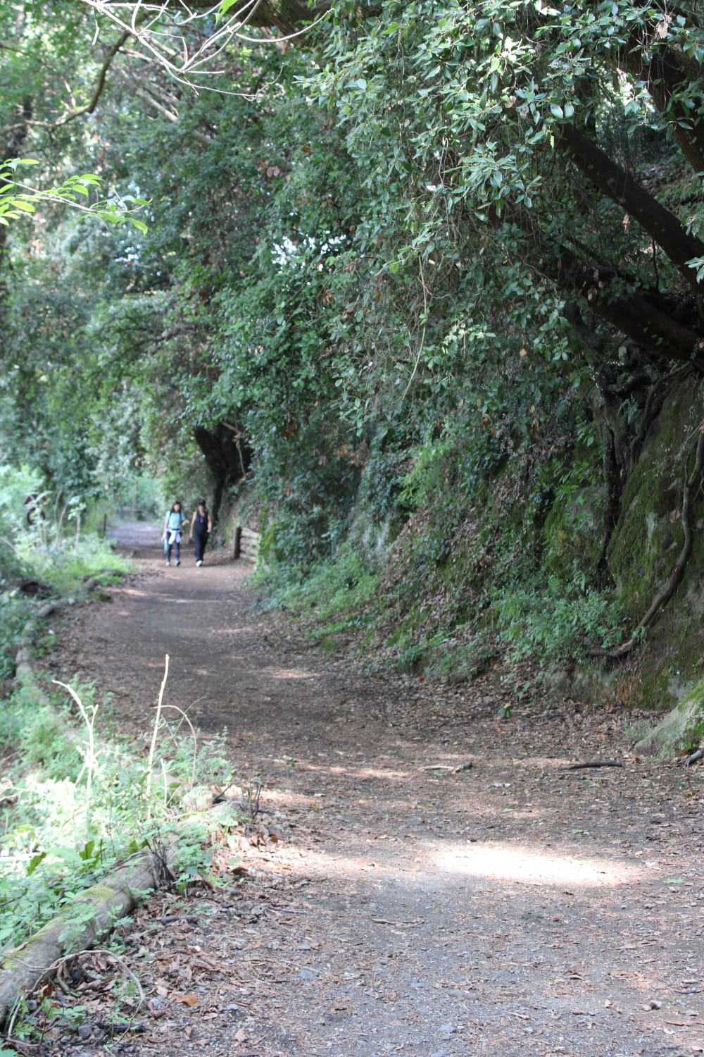 In Cammino tra Laghi e Miti