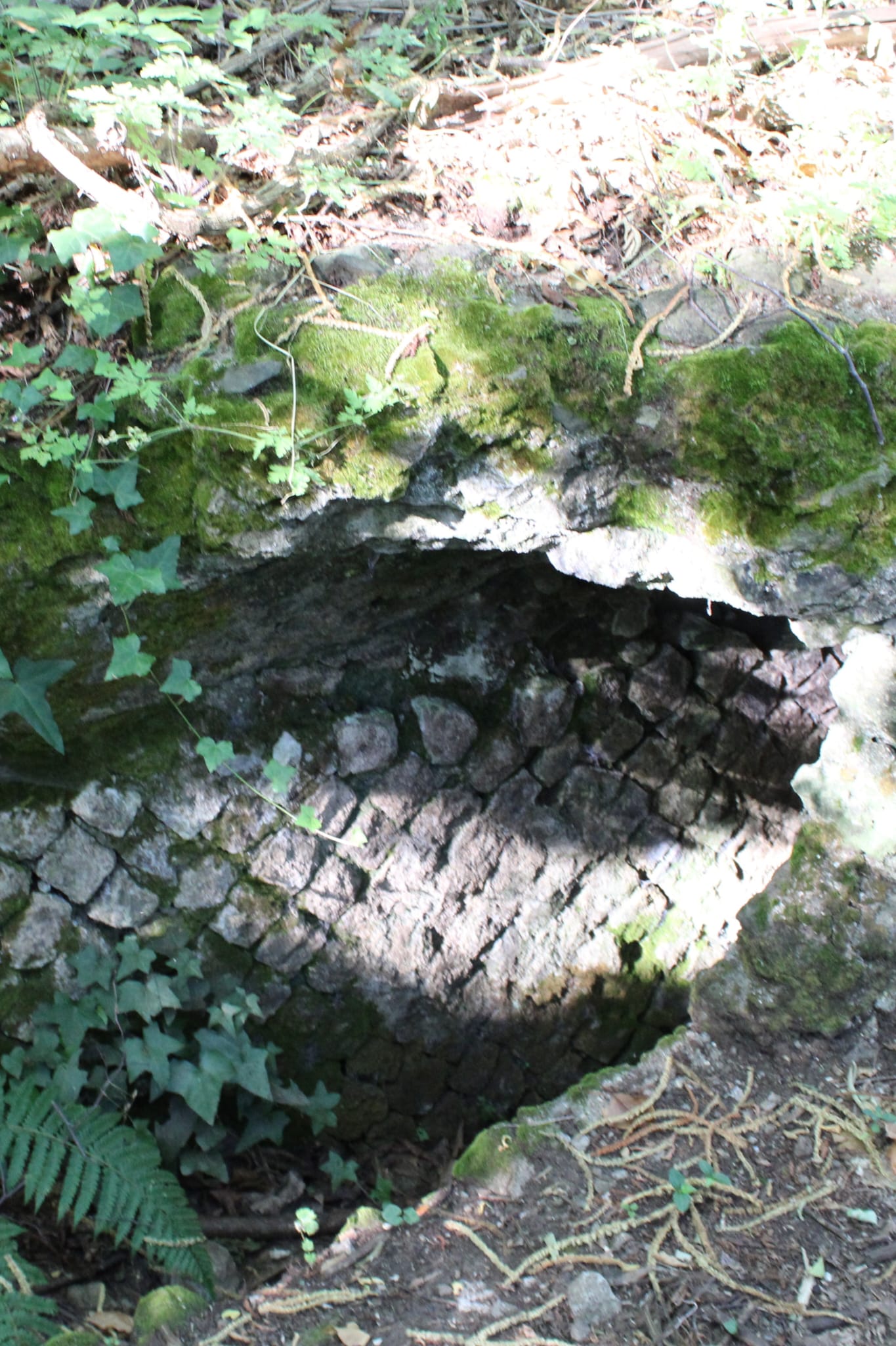 In Cammino tra Laghi e Miti