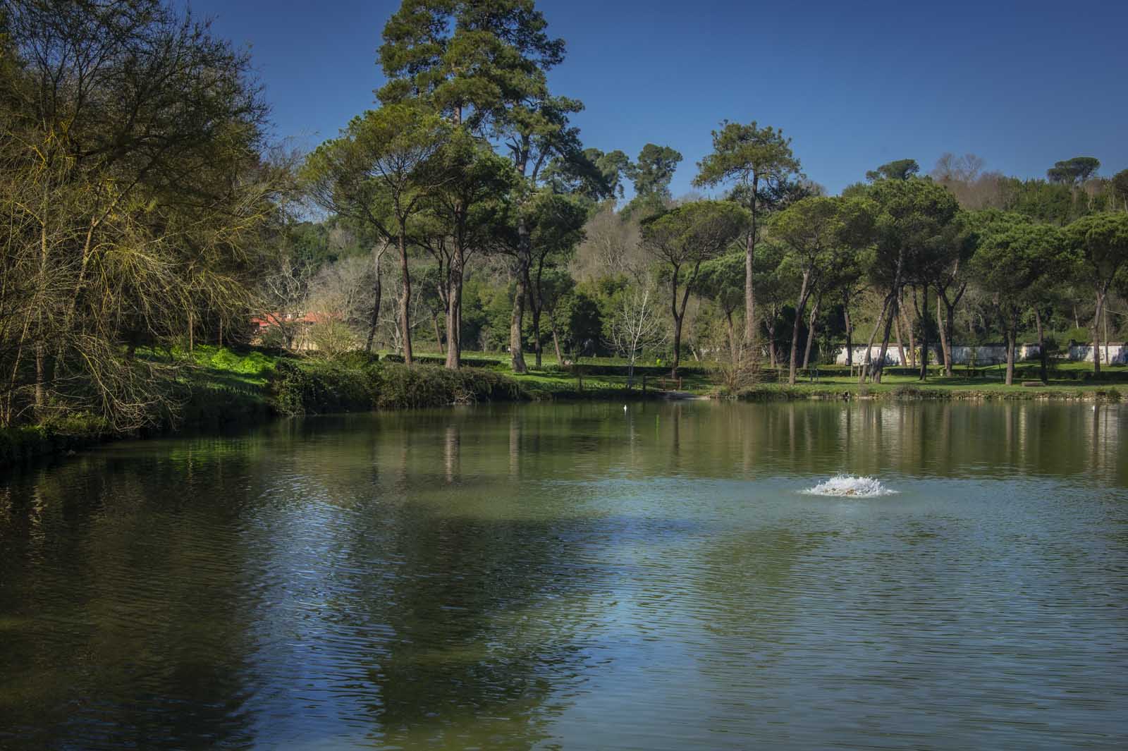 Villa Ada, un parco tutto da leggere