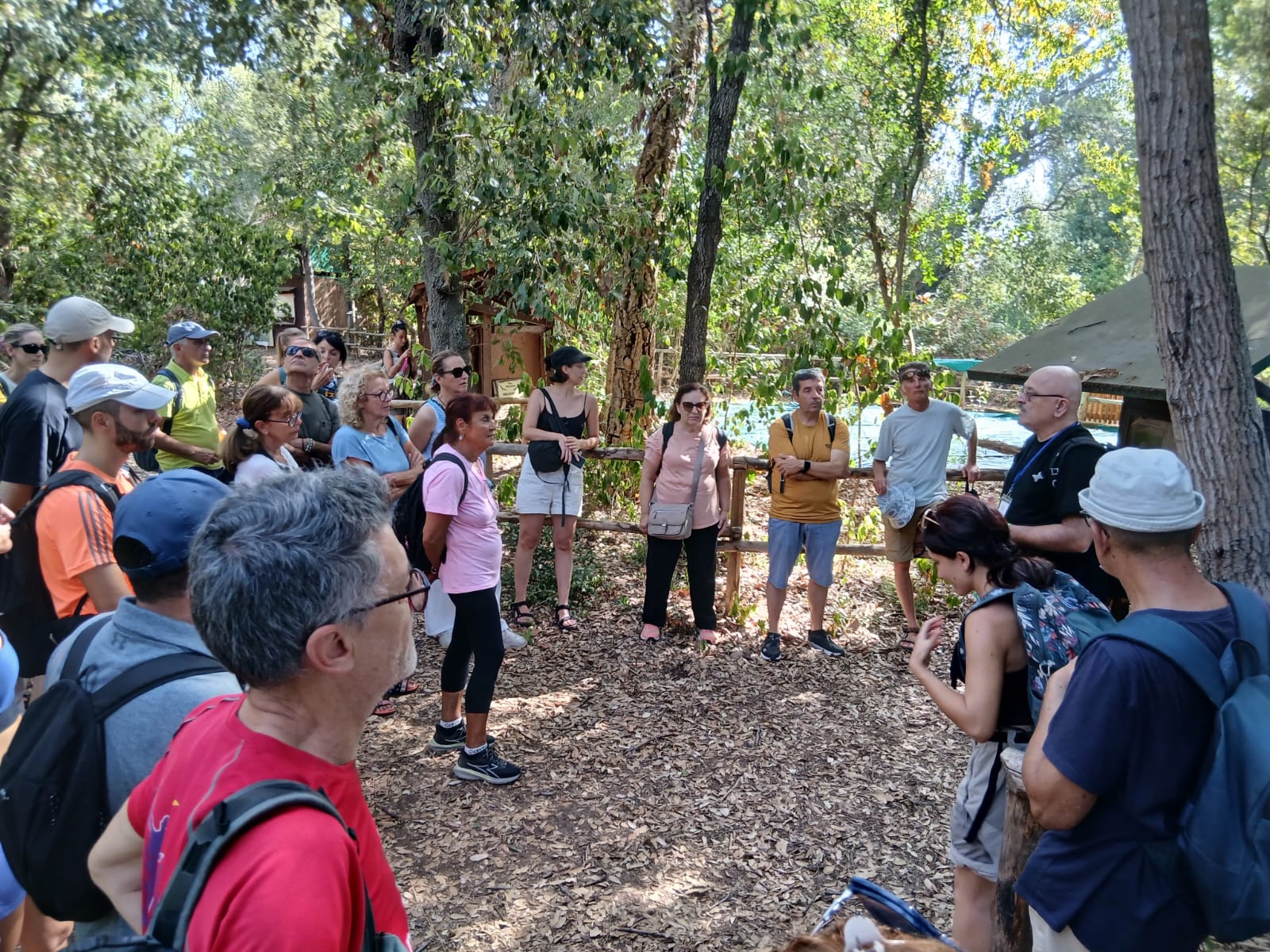 Il Bosco Segreto a Tor Caldara (Anzio) Semi, tracce e profumi della macchia mediterranea