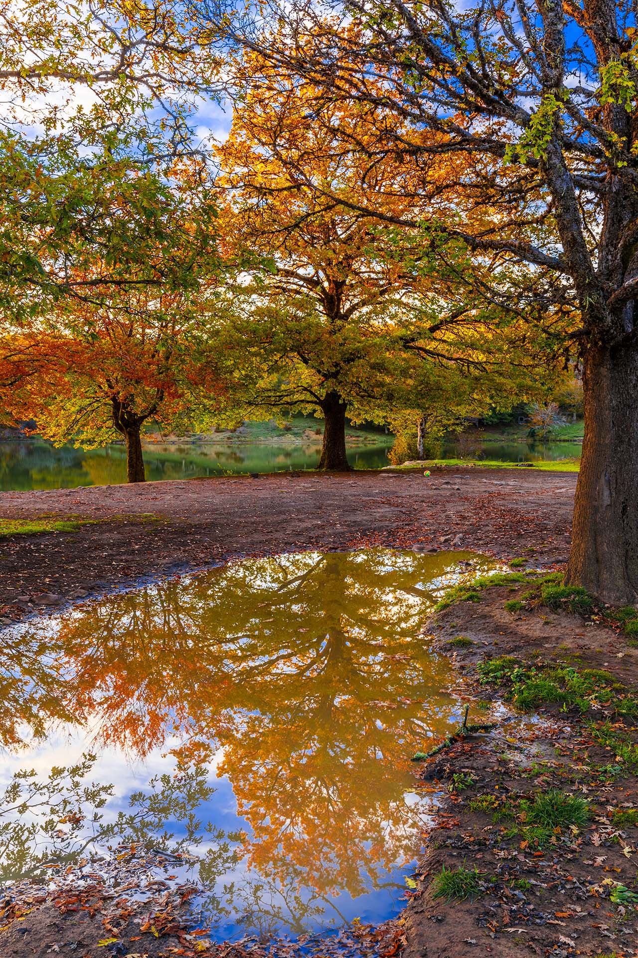 FOLIAGE D’AUTUNNO SUI NEBRODI 🍁 Dal Lago Maulazzo al Lago Biviere