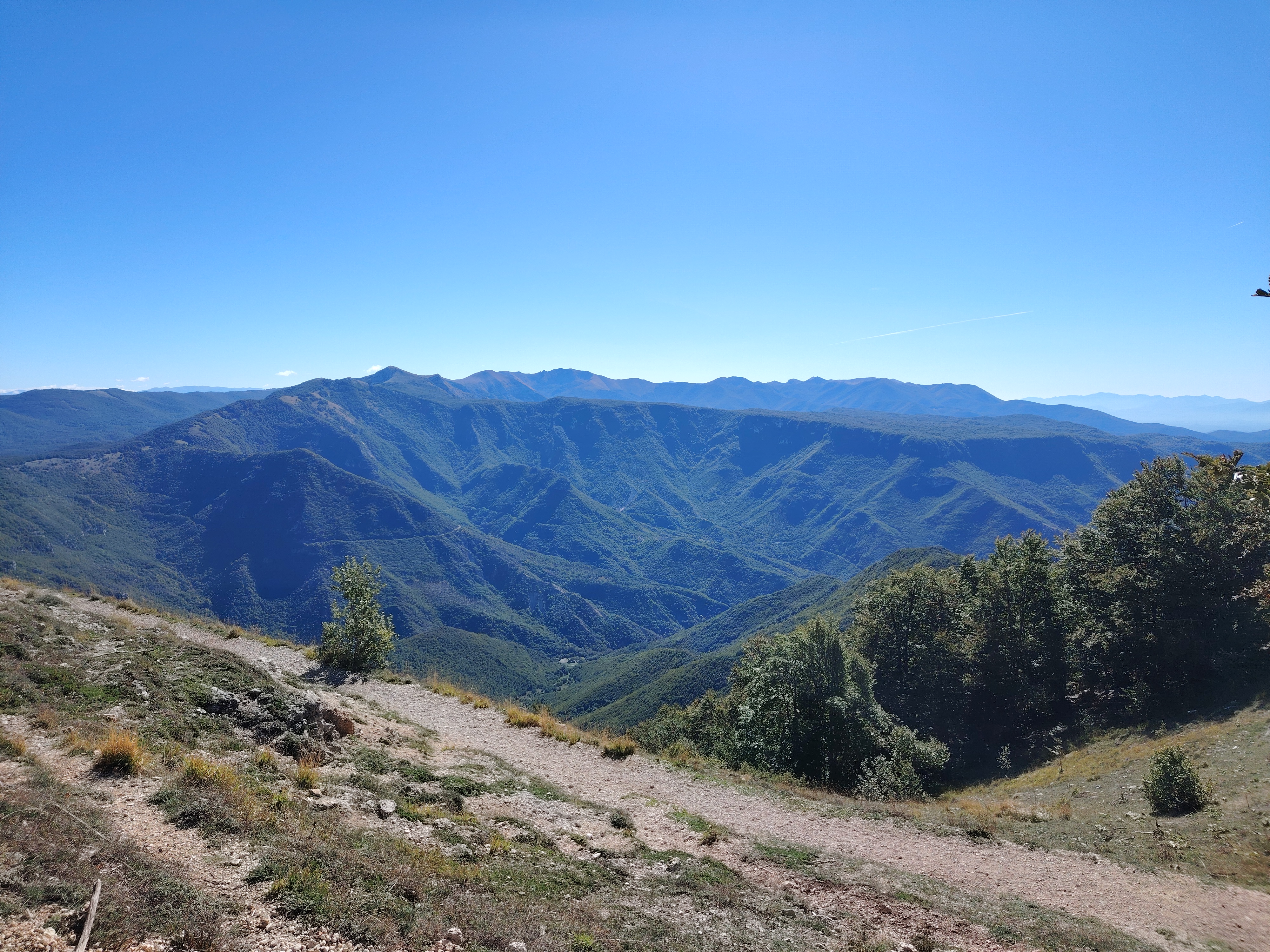 Il Bosco Cambia Pelle – Lo spettacolo del foliage sul Monte Autore