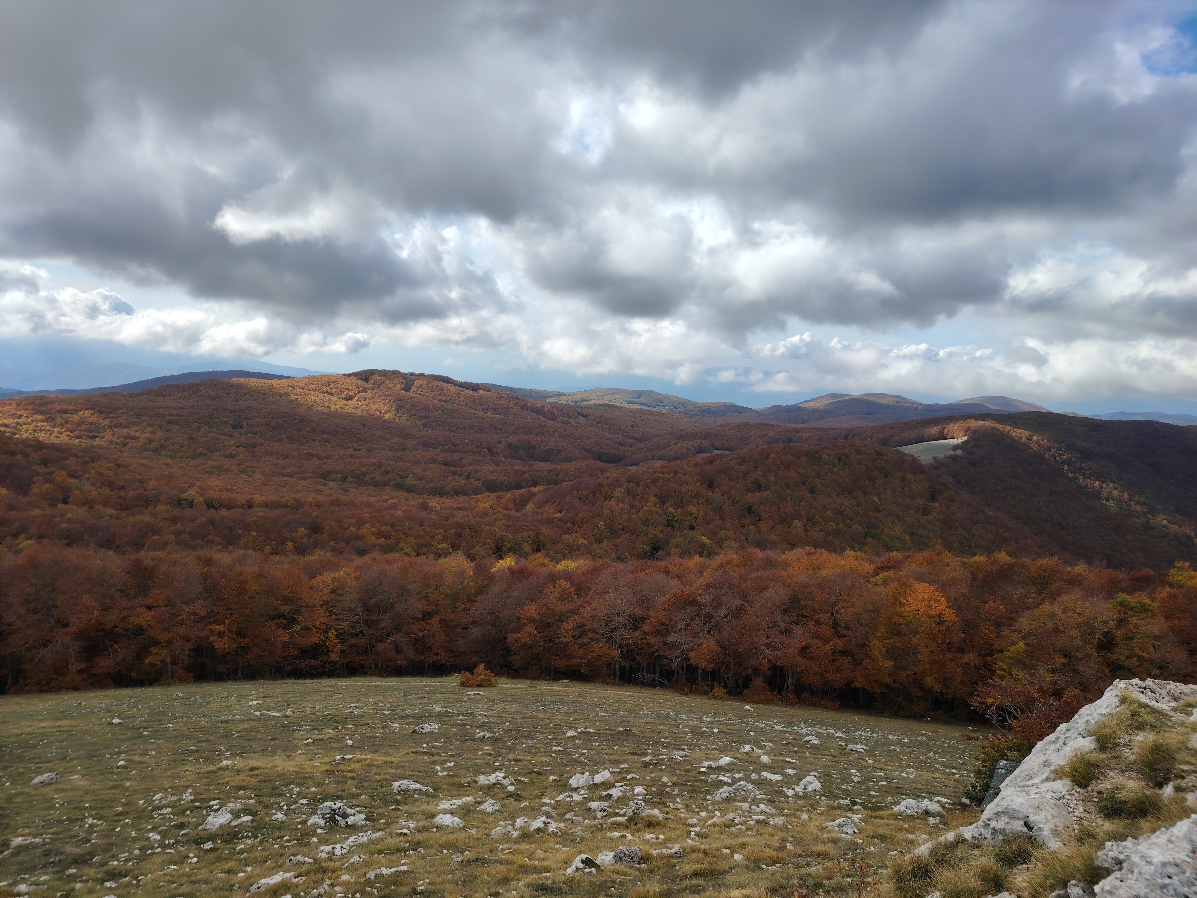 Il Bosco Cambia Pelle – Lo spettacolo del foliage sul Monte Autore