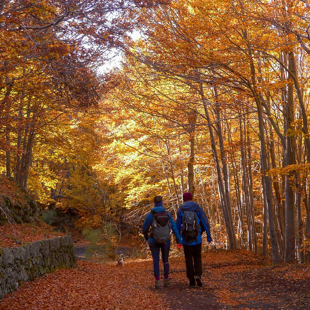 FOLIAGE D’AUTUNNO SUI NEBRODI 🍁 Dal Lago Maulazzo al Lago Biviere