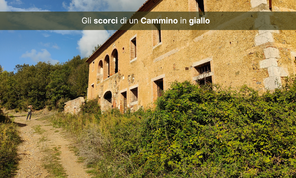 Il lato selvaggio delle Crete