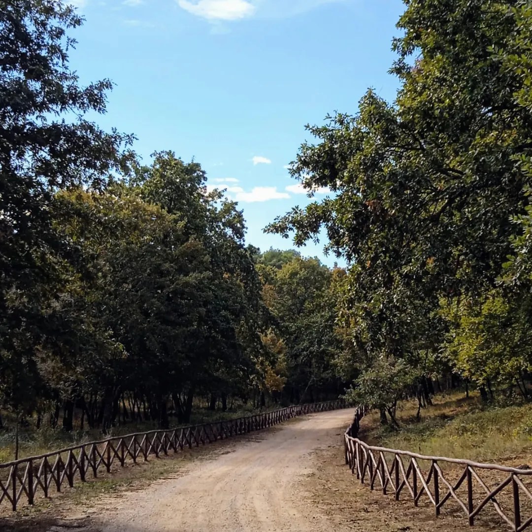 Beer Trek – Passi, Natura e Birra
