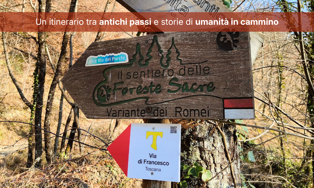BabelTrek AdvenTour – LA VERNA: Foliage & Respiro