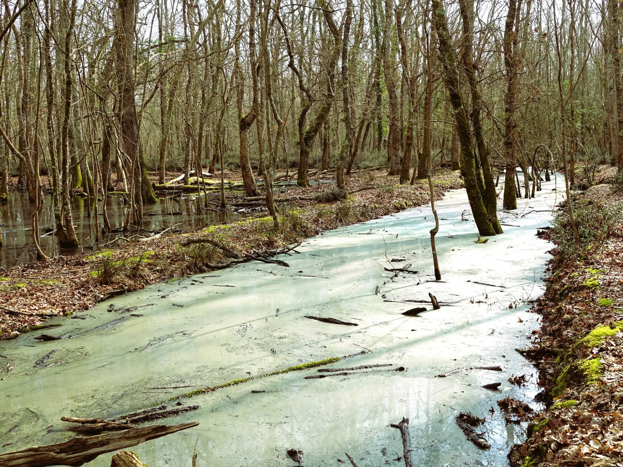 RADICI SACRE nel PARCO NAZIONALE DEL CIRCEO