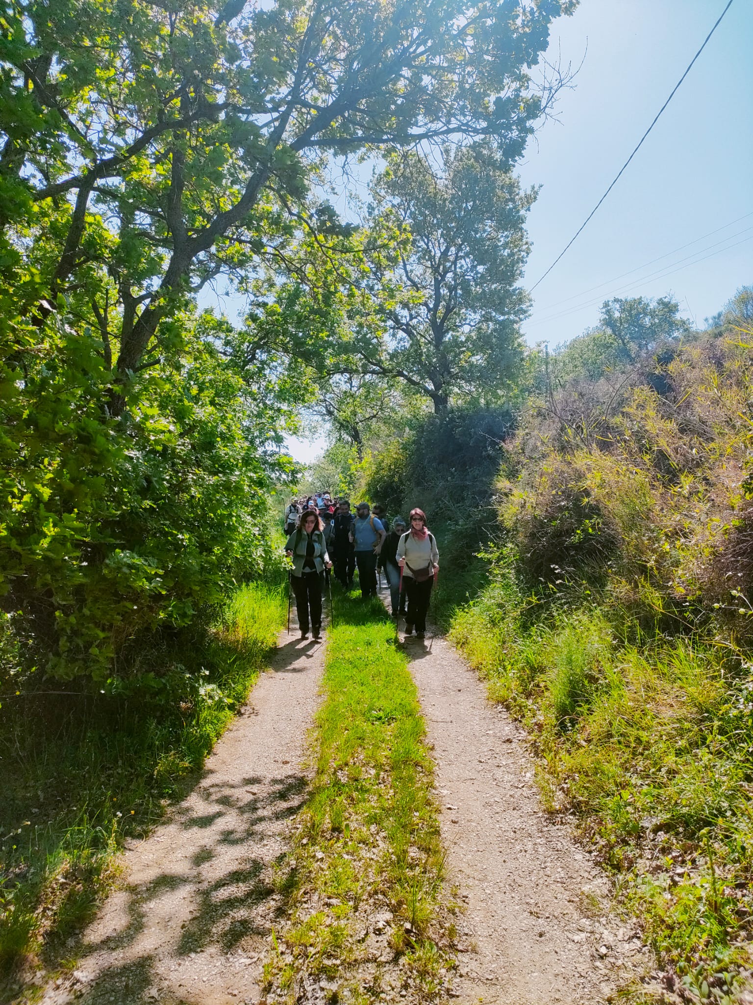 Beer Trek – Passi, Natura e Birra