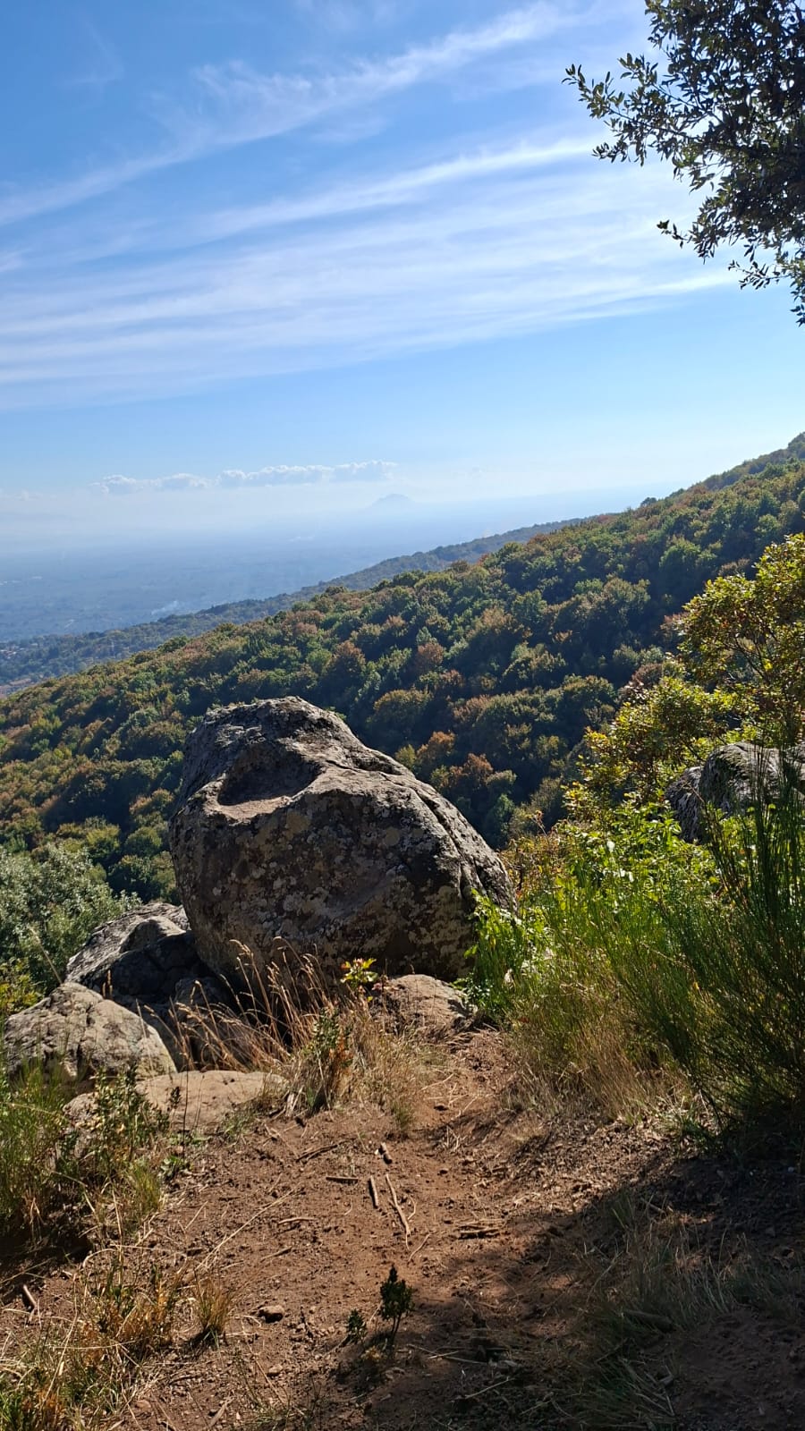 ​🍁 IL BOSCO RACCONTA… TRA I GIGANTI DELLA FAGGETA E I SEGRETI DEL CIMINO 🍁