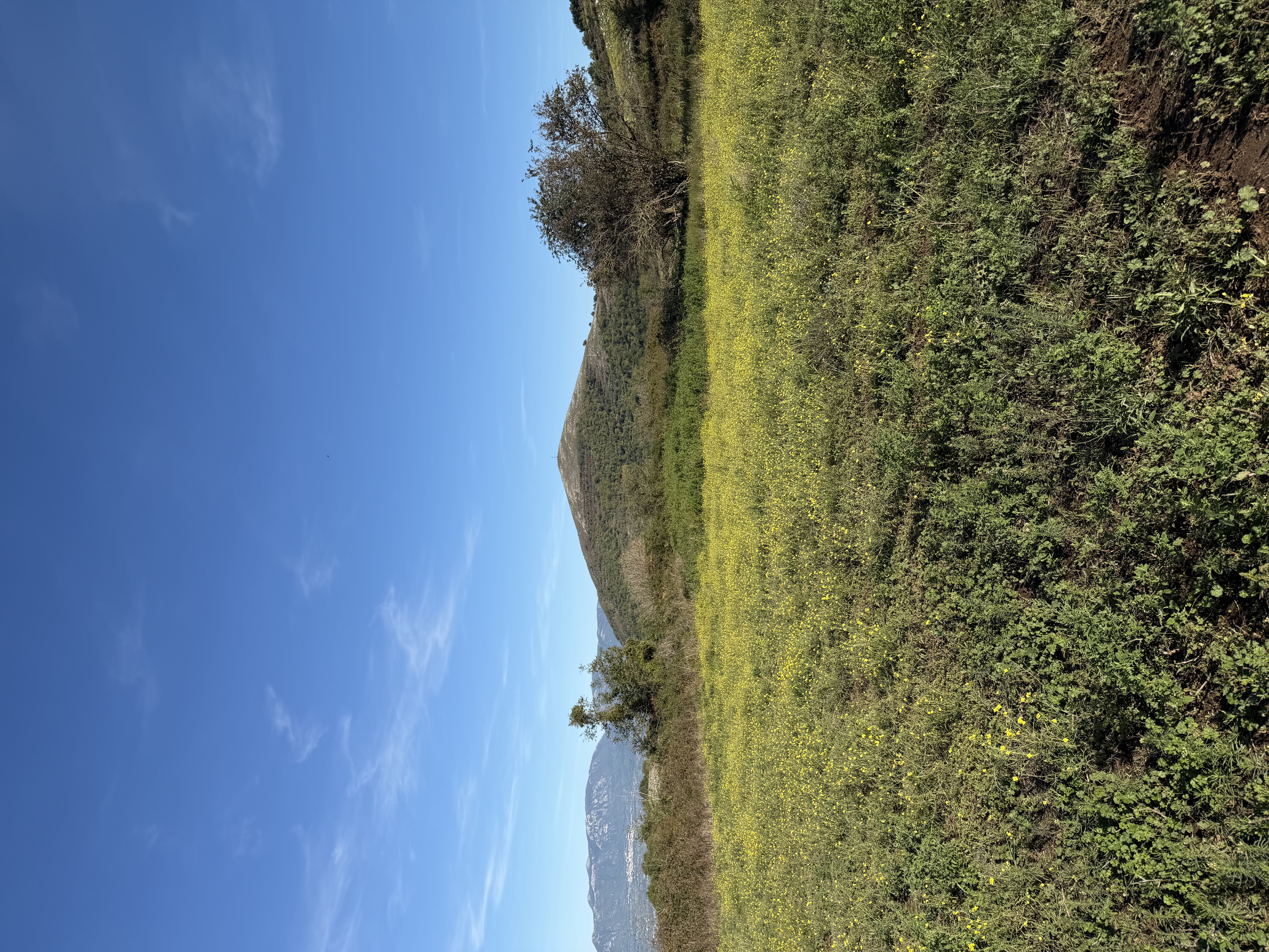 Monte Virgo
