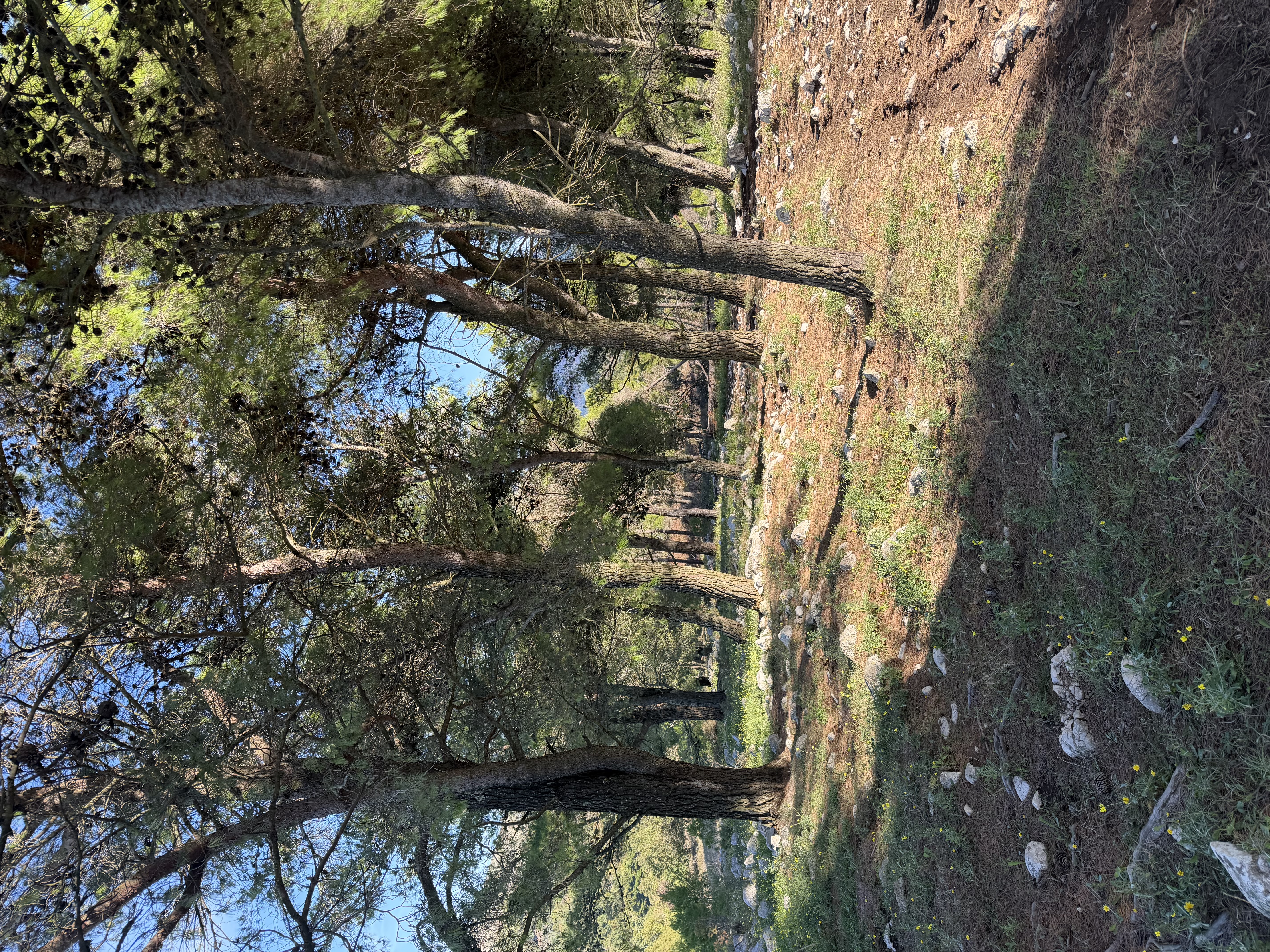 Monte Virgo