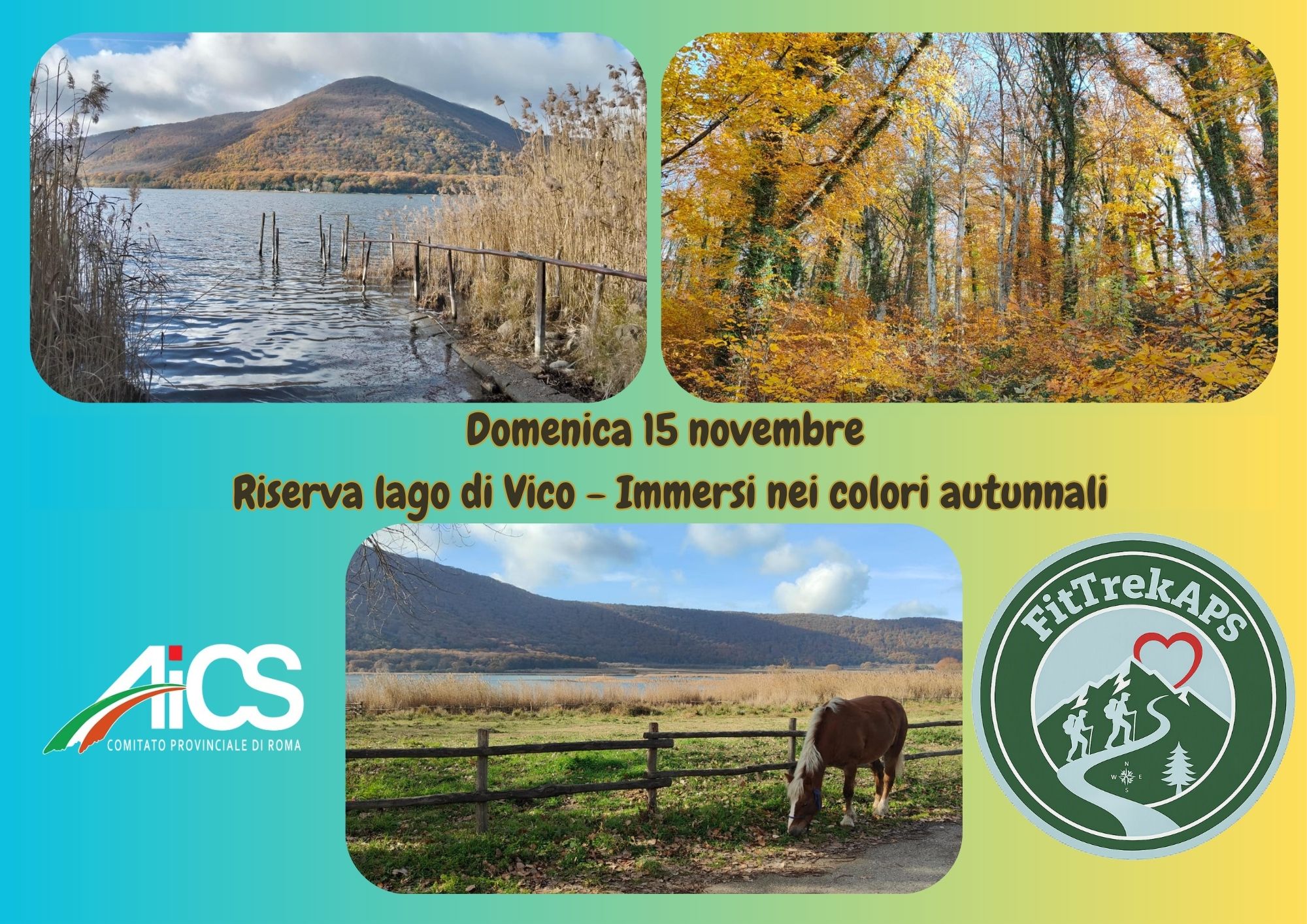 Riserva del Lago di Vico