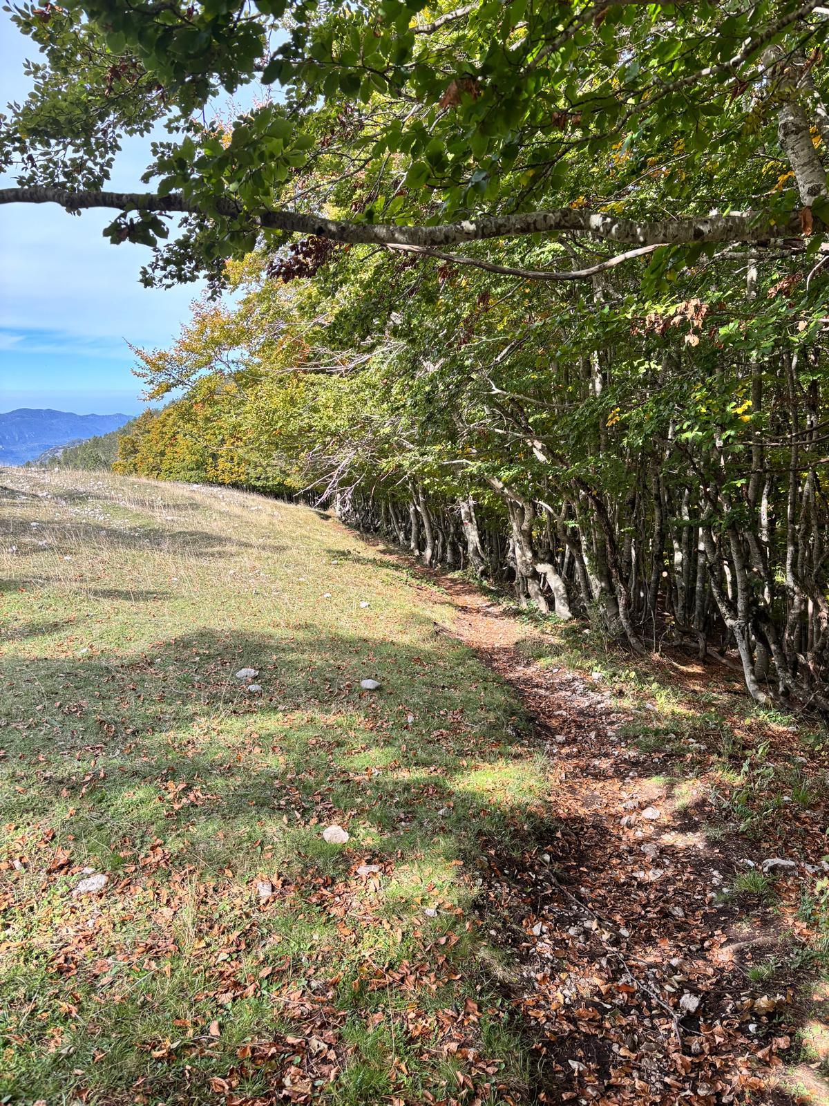IL RESPIRO DELL’AUTUNNO🍂: TRA COLORI E PROFUMI NEL CUORE DEI SIMBRUINI🌄