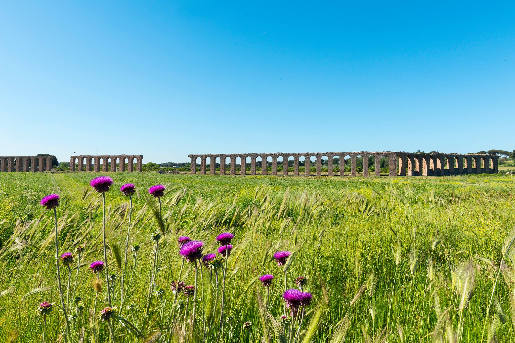GRAND TOUR APPIA ANTICA: Tra acquedotti, antiche rovine e natura: un viaggio esperienziale nel cuore della campagna romana