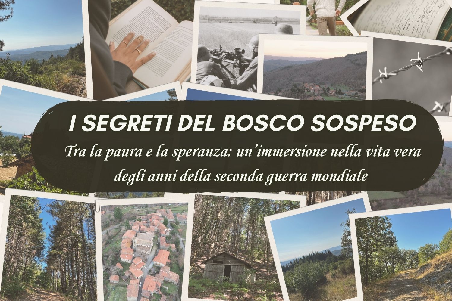 I Segreti del Bosco Sospeso
