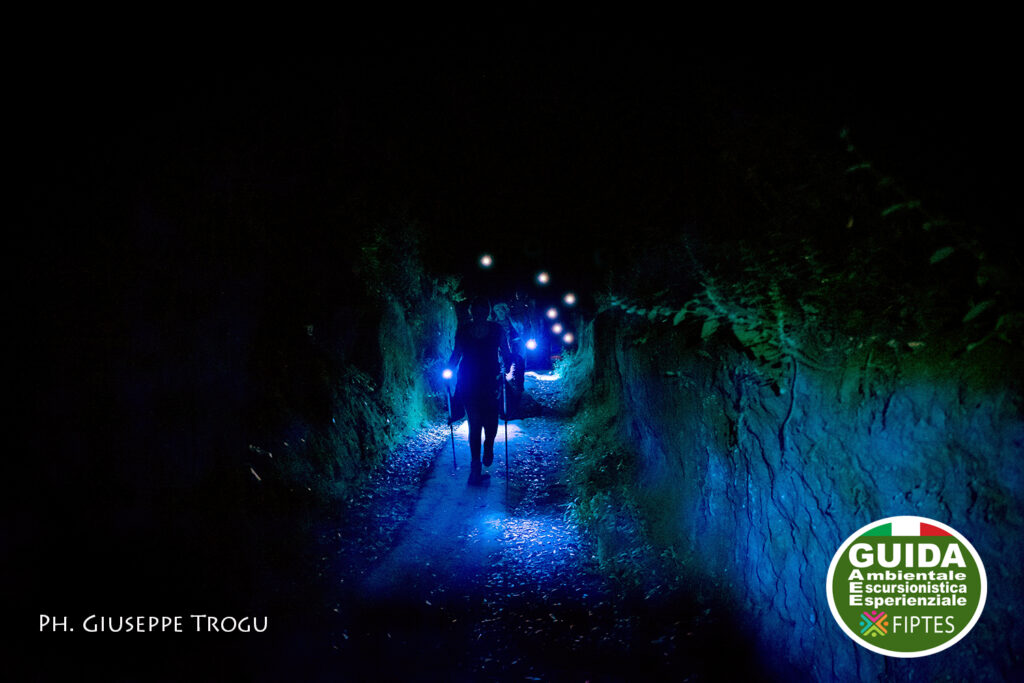 Anello dei Monti Sabatini - Lago di Bracciano - Trekking Experience