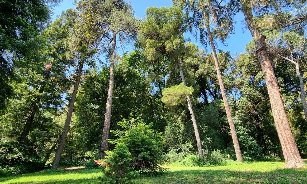 Orto Botanico