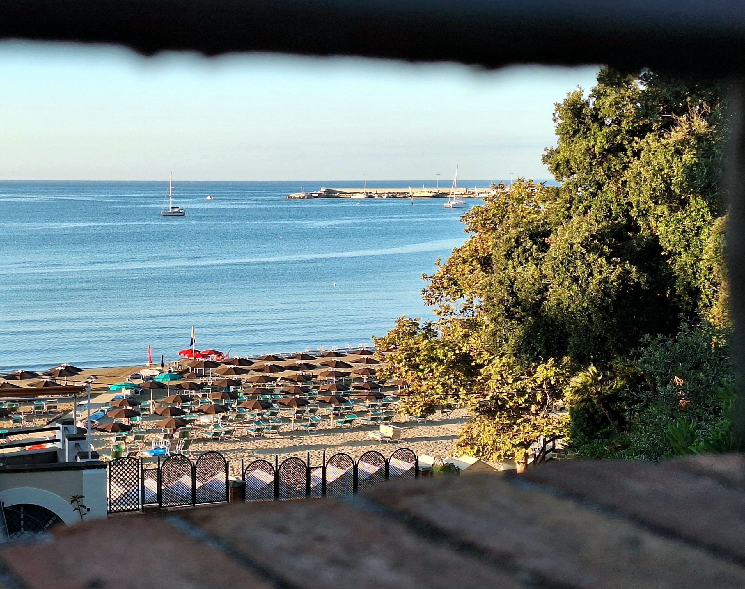 Nettuno