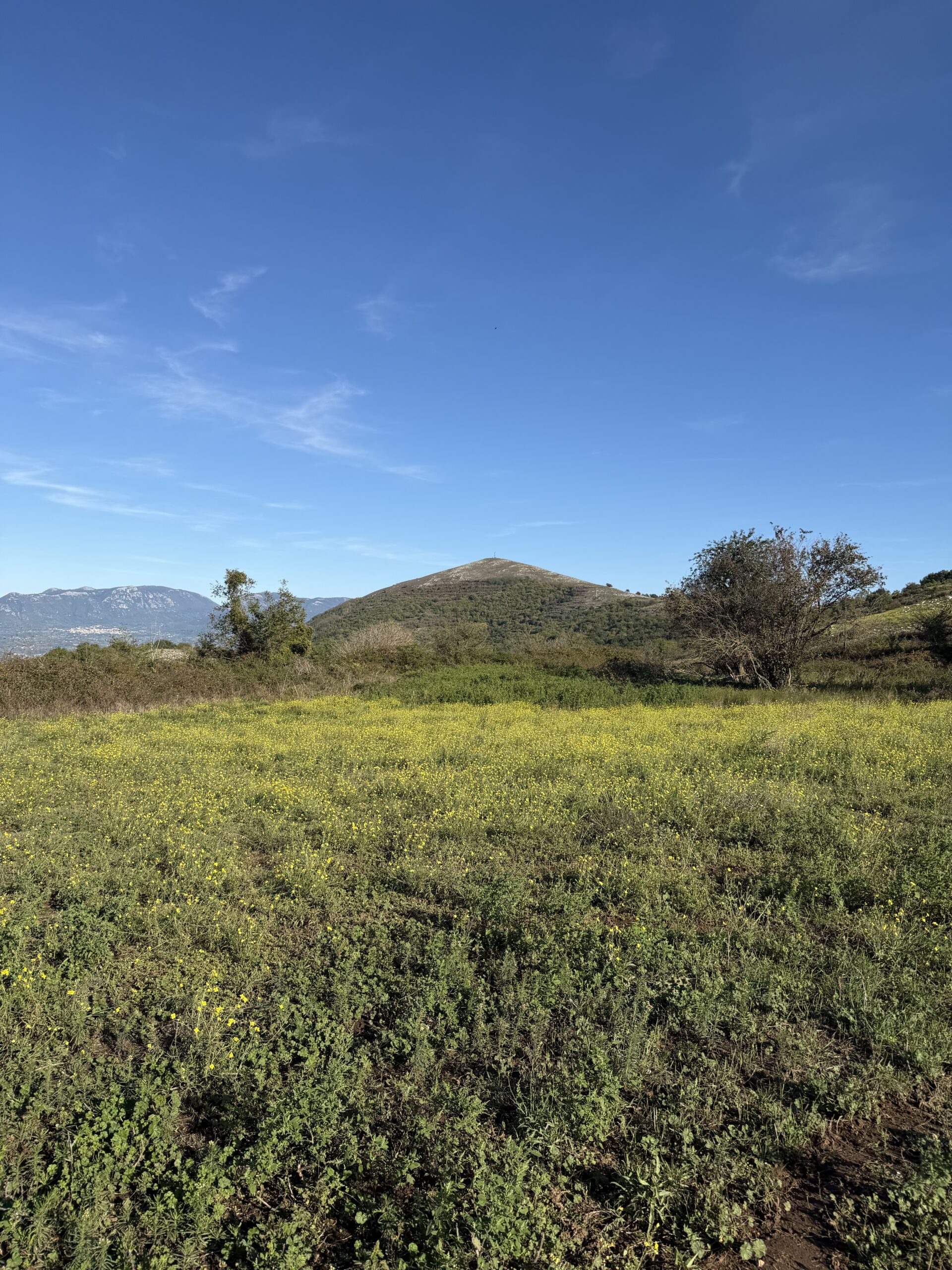Monte Virgo