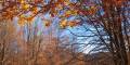  Autunno sui Simbruini - Lazio