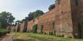ALBERI PARLANTI: Tra Colosseo e Caffarella: botanica, storia e suggestioni letterarie - Roma - Lazio ALBERI PARLANTI: Tra Colosseo e Caffarella: botanica, storia e suggestioni letterarie - Roma - Lazio