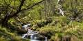 La Riserva di Zompo lo Schioppo | La cascata naturale più alta dell’Appennino - Abruzzo La Riserva di Zompo lo Schioppo | La cascata naturale più alta dell’Appennino - Abruzzo