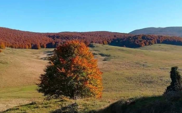 NaturVale
